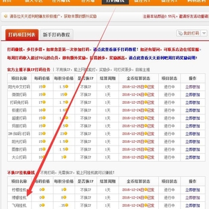 博睿掛機怎么樣？簡單掛機教程出爐，每天結(jié)算！